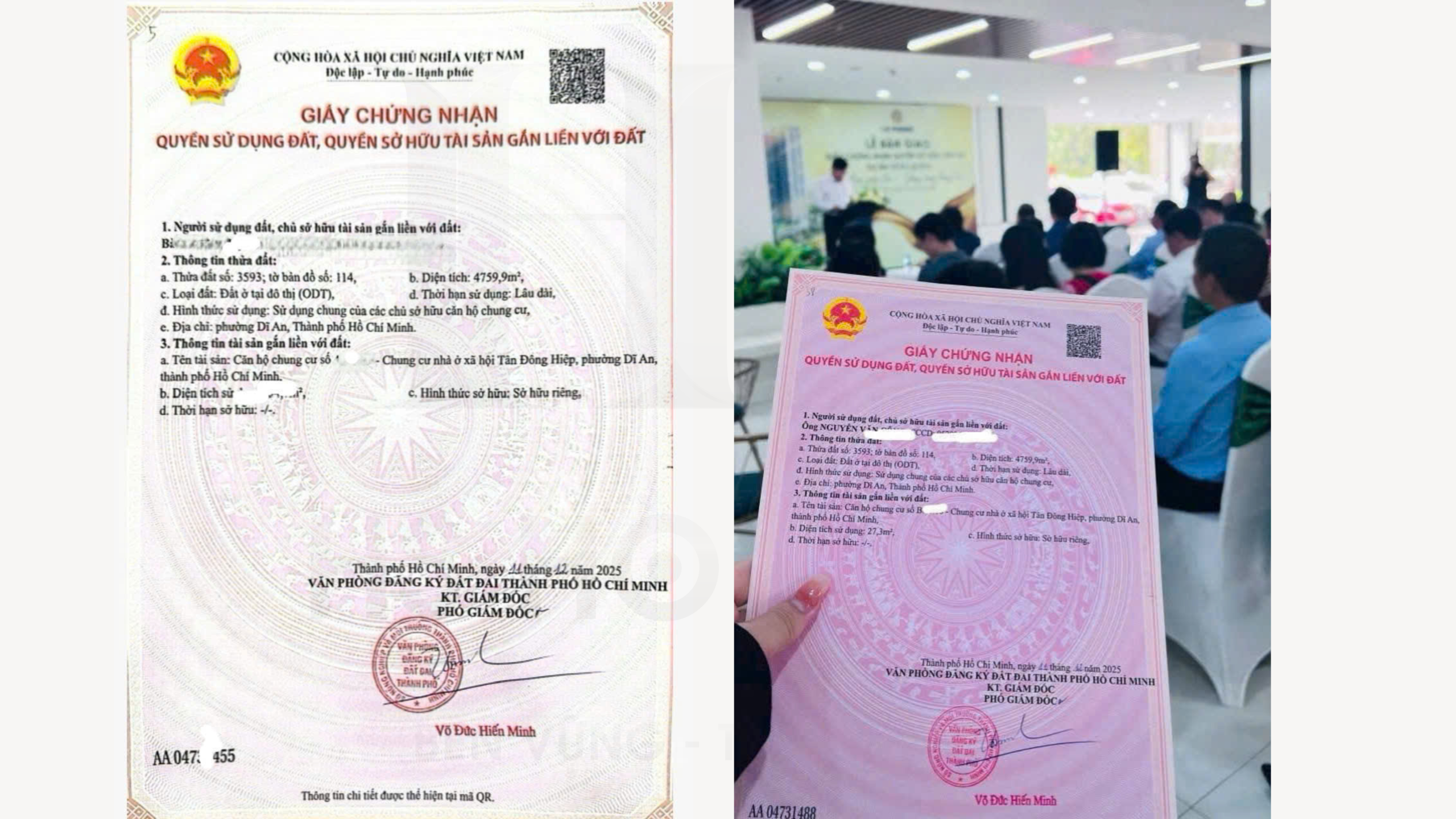 CHỦ ĐẦU TƯ LÊ PHONG